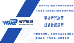 本文的2025-2031年的预测数据是基于过去几年的汗